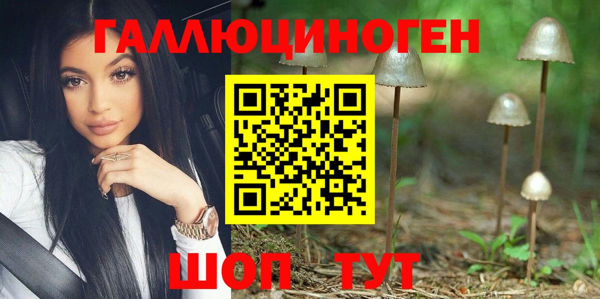 Псилоцибиновые грибы Psilocybine cubensis Городец