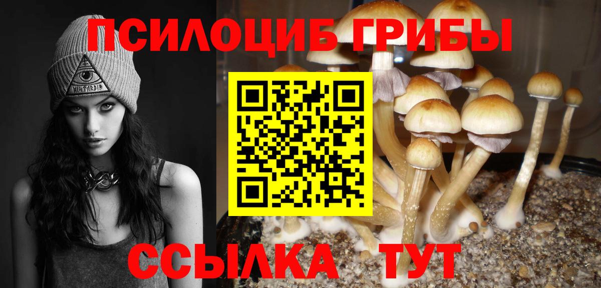 где можно купить наркотик  Псилоцибиновые грибы Psilocybe  Вход с VPN  Городец 